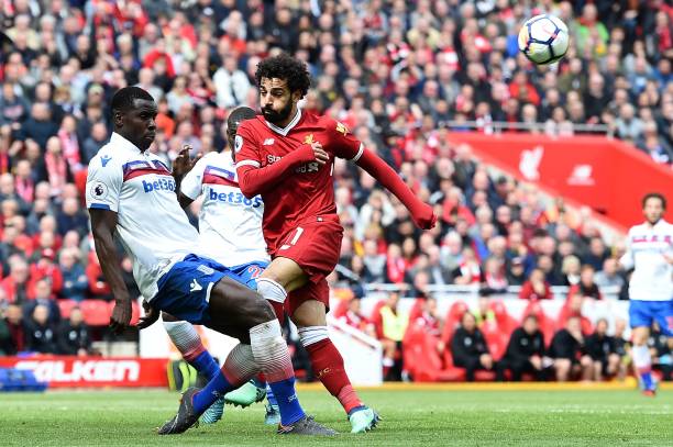 政府效率部 政府效率部