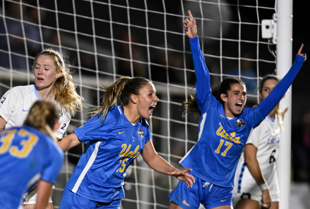 这一系列的 这一系列的